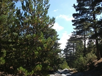 rrente Quarantore-20110911 085